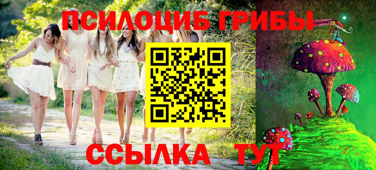 Находка  Псилоцибиновые грибы Psilocybine cubensis  Галлюциногенные грибы Psilocybine cubensis  Вход с VPN 